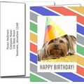 Birthday Greeting Cards w/Imprinted Envelopes